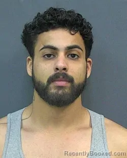 Mugshot of YOELI ALNAHARI