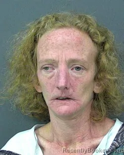 Mugshot of ELIZABETH P HOLLAND booked in Rockland County, New York on April 2, 2026