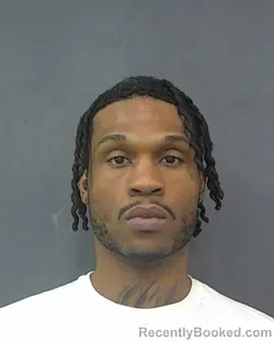 Mugshot of STANLEY D PASCAL booked in Rockland County, New York on March 28, 2026