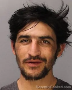 Mugshot of VIRGILIO DE JESUS ALARCON-TOBAR