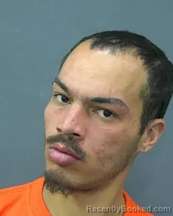 Mugshot of DONTE G RICCARDO