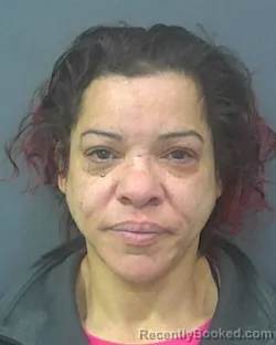 Mugshot of JENNIFER A OTERO