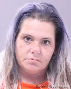 Mugshot of LIANA M MEILLEUR