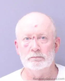 Mugshot of MARK D HORAN