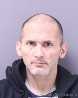 Mugshot of DANA L CHUBB booked in St Lawrence County, New York on April 14, 2026