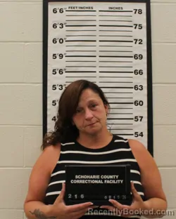 Mugshot of Sandra L Whitehead booked in Schoharie County, New York on August 15, 2026