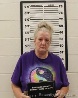 Mugshot of Brenda L Kenney booked in Schoharie County, New York on August 16, 2026