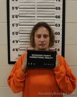 Mugshot of Michelle Ashley Brown booked in Schoharie County, New York on September 8, 2026