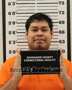 Booking photo from Schoharie County, New York