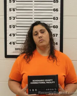 Mugshot of FELICIA L. SHEA booked in Schoharie County, New York on June 28, 2026