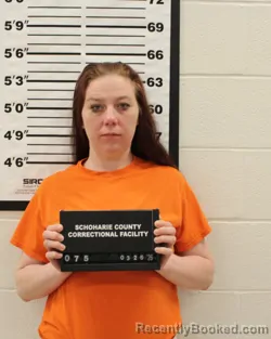 Mugshot of STEPFANIE T BUTLER booked in Schoharie County, New York on March 26, 2026