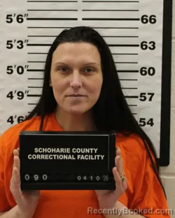 Mugshot of MELISSA L BARD booked in Schoharie County, New York on April 10, 2026