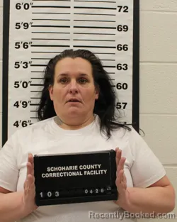 Mugshot of CRYSTAL LEE THOMPSON booked in Schoharie County, New York on April 29, 2026