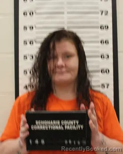 Mugshot of CASSANDRA PREMO booked in Schoharie County, New York on June 16, 2026