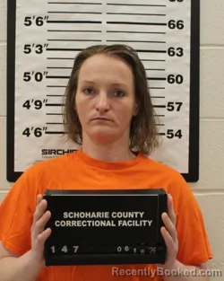 Mugshot of ASHLEY M GALARNEAU booked in Schoharie County, New York on June 16, 2026