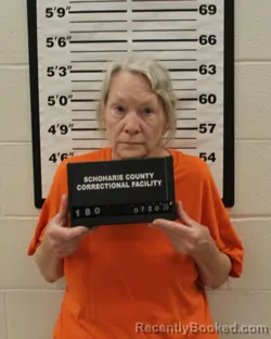 Mugshot of MARTHA M MCCARTHY booked in Schoharie County, New York on July 20, 2026