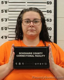 Mugshot of KELLI MARIE VROMAN booked in Schoharie County, New York on July 21, 2026
