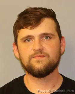 Mugshot of JUSTIN T LISEFSKI booked in Schuyler County, New York on April 16, 2026