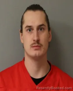 Mugshot of TYLER L HURLBERT