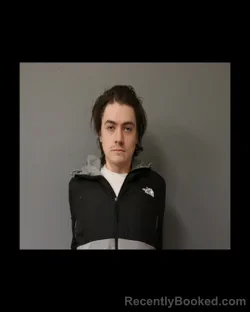 Mugshot of DYLAN R WATSON