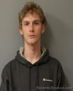 Mugshot of BRYCE N EDMINSTER booked in Schuyler County, New York on March 19, 2026