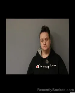 Mugshot of DONIELE TOMBERELLI booked in Schuyler County, New York on March 26, 2026