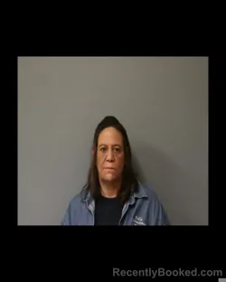 Mugshot of NANCY E CASE booked in Schuyler County, New York on April 21, 2026