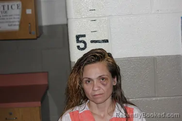 Mugshot of Rebecca French booked in Schuyler County, New York on August 7, 2026
