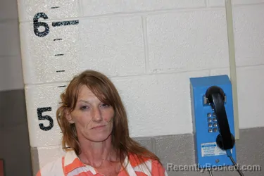 Mugshot of Shandi Palmer booked in Schuyler County, New York on August 7, 2026