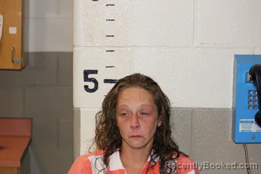 Mugshot of Hope Cox booked in Schuyler County, New York on August 17, 2026