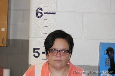 Mugshot of Ashley Sprinkle booked in Schuyler County, New York on August 24, 2026