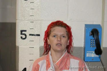 Mugshot of Breanna Livingston booked in Schuyler County, New York on October 22, 2026
