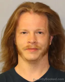 Mugshot of DONALD L BURDICK-MATTISON booked in Schuyler County, New York on April 14, 2026