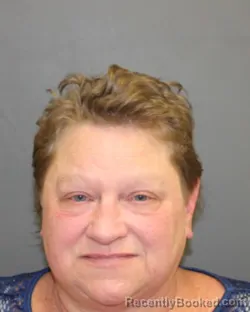 Mugshot of BETH ANN VANDEMORTEL booked in Seneca County, New York on July 2, 2026