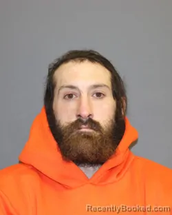 Mugshot of JOHN JOSEPH PISANO booked in Seneca County, New York on April 17, 2026