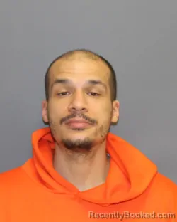 Mugshot of TROY F RANDLEMAN