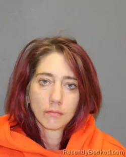 Mugshot of AMANDA M LINDERBERRY booked in Seneca County, New York on May 15, 2026