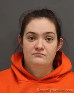 Mugshot of JOCELYN E NICHOLS booked in Seneca County, New York on May 12, 2026