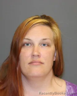 Mugshot of Briana L Andrzejewski booked in Seneca County, New York on August 8, 2026