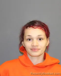 Mugshot of NAYELA J. ADAMS