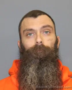 Mugshot of LARRY M ARNO