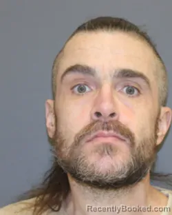 Mugshot of MICHAEL J WADE