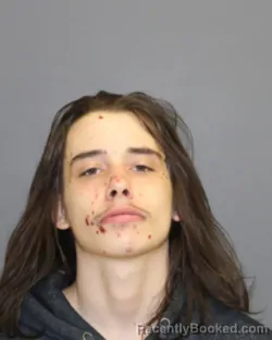 Mugshot of BRENDON LEE HEATH booked in Seneca County, New York on April 20, 2026