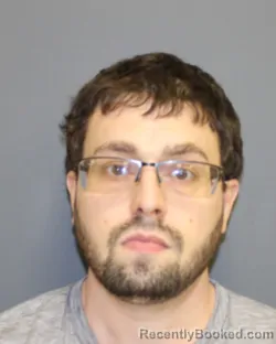 Mugshot of MICHAEL JOSEPH DESINO