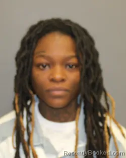 Mugshot of BRIANA S REJOUIS