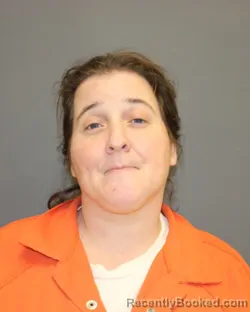 Mugshot of AMANDA SUE CARLISLE booked in Seneca County, New York on April 2, 2026