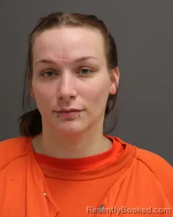 Mugshot of MADISON E HORNBROOK booked in Seneca County, New York on April 17, 2026