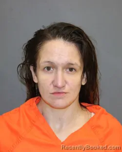 Mugshot of JEANIE M FASSETTE booked in Seneca County, New York on April 24, 2026