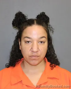 Mugshot of NATASHA KARIN KING booked in Seneca County, New York on April 24, 2026