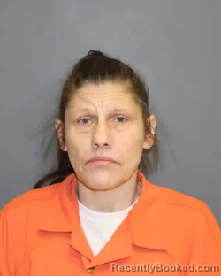 Mugshot of TAMMY R EVANS booked in Seneca County, New York on April 24, 2026